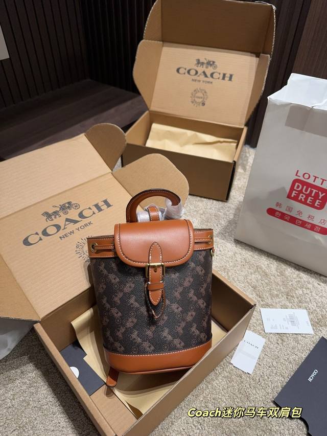 p210全套包装尺寸16.19 蔻驰Coach迷你马车双肩包