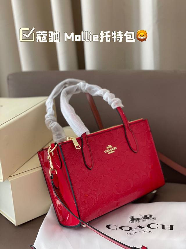 p210 配盒子 蔻驰 Mollie托特包 复古优雅 满满的高级感 大小适中 容量感人 休闲正装皆可轻松驾驭 尺寸：25 17