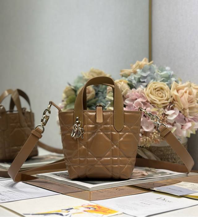 正品级 高版本 微型 Dior Toujours 竖版手袋 棕色 这款微型 Dior Toujours 竖版手袋是二零二五秋季成衣系列新品 时尚实用 采用棕色牛