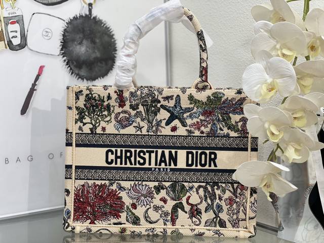 中号 Book Tote 多数人消费奢侈品牌首先想到的是买实用型的经典款 但其实像Dio R这种合作艺术Tote应该作为重点收藏复古风满满背上它你就是时髦精本精