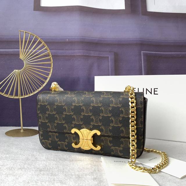 款号197993老花色 Triomphe亮泽牛皮铁链条肩包，牛皮革女士腋下包。链条 24Cm 尺寸20.5-10.5-4