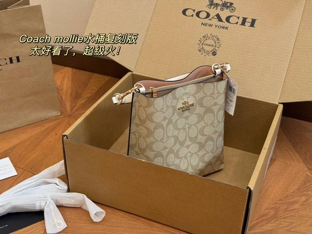 配盒 复刻版 Size：20*22Cm 蔻驰 最新款水桶 新款mollie小号水桶包