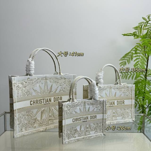 Dior Book Tote颜色图