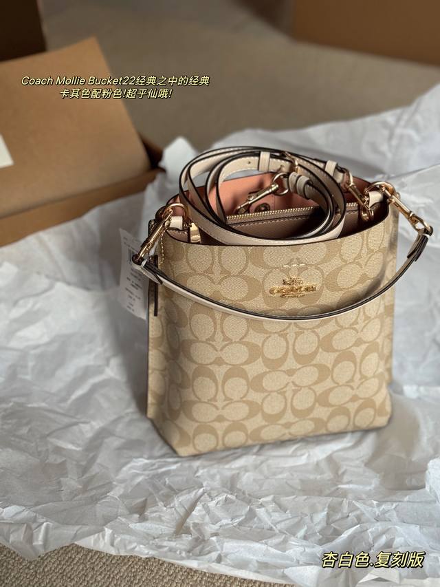 配盒 复刻版 Size：20*22Cm C家 最新款水桶 新款mollie小号水桶包