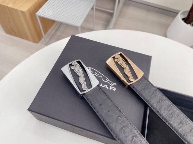 捷豹为全球最大的高级时尚控股公司以传统手工设计和款式新颖誉满全球 此款采用纯牛皮 制作 结实耐用 男人佩戴皮带是身份 选皮带是品味 皮带质量是能力的体现 有个性